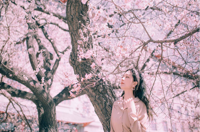 给恋人的生日送花祝福语 鲜家网 给恋人的生日送花祝福语 鲜家网